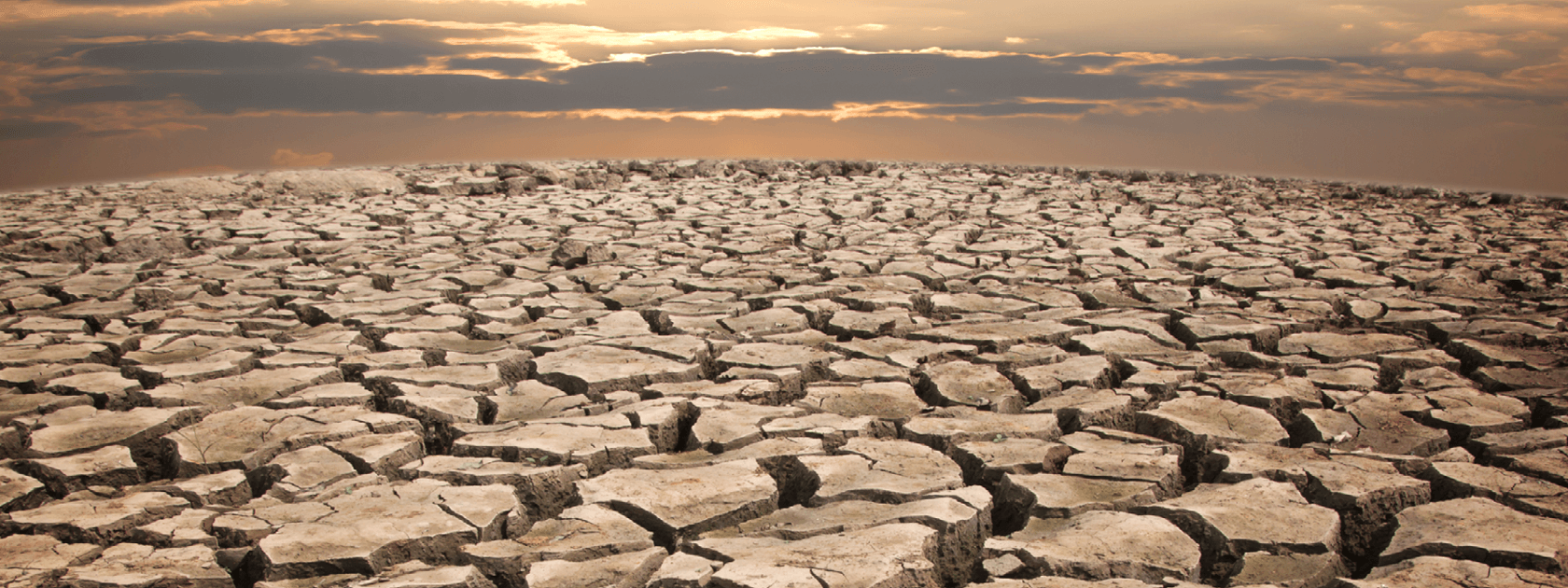 heavily cracked ground