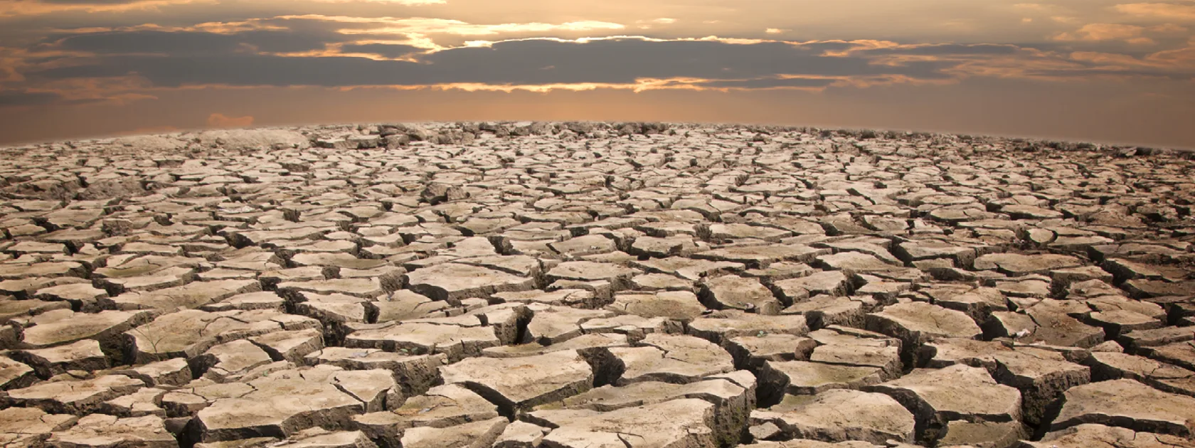 heavily cracked ground