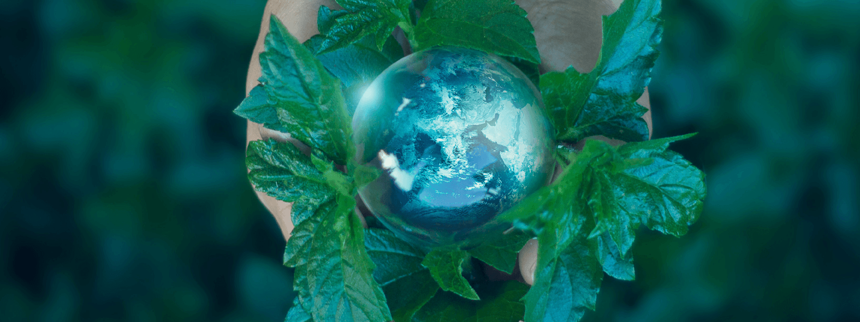 Glass sphere nestled in leaves