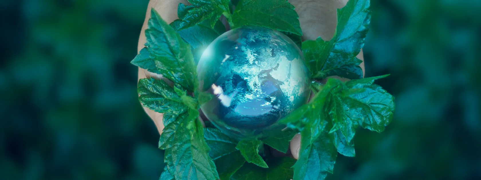 Glass sphere nestled in leaves
