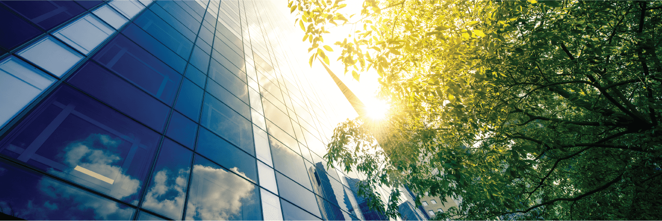 Office building and trees depicting sustainable business
