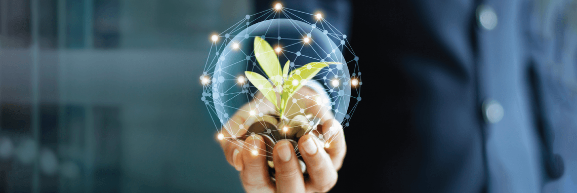 Greening the economy