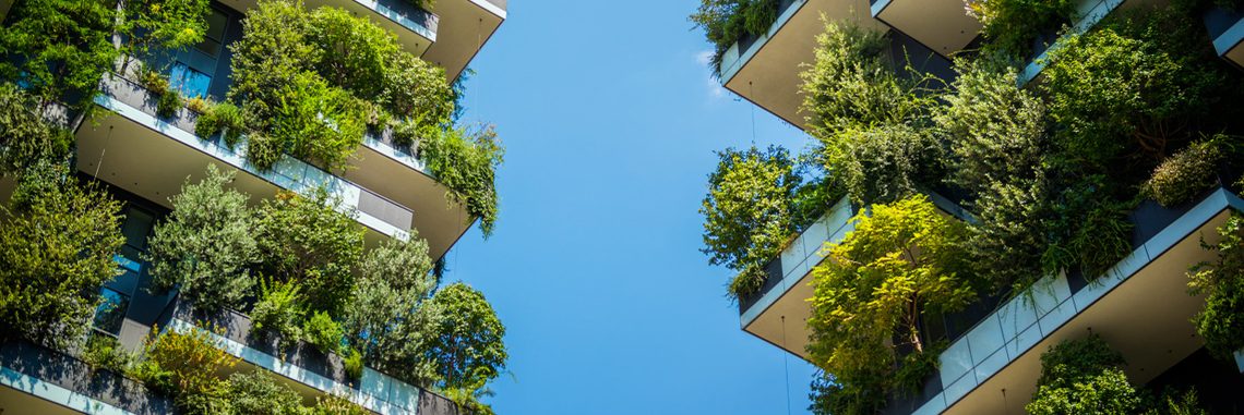 Resilient Cities