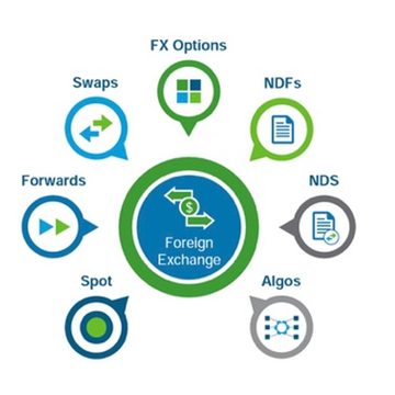 FX infographic