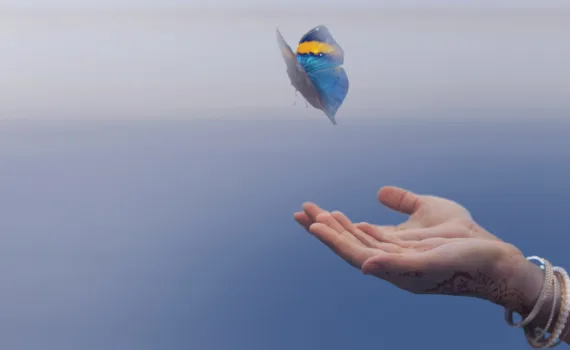 Butterfly and hands