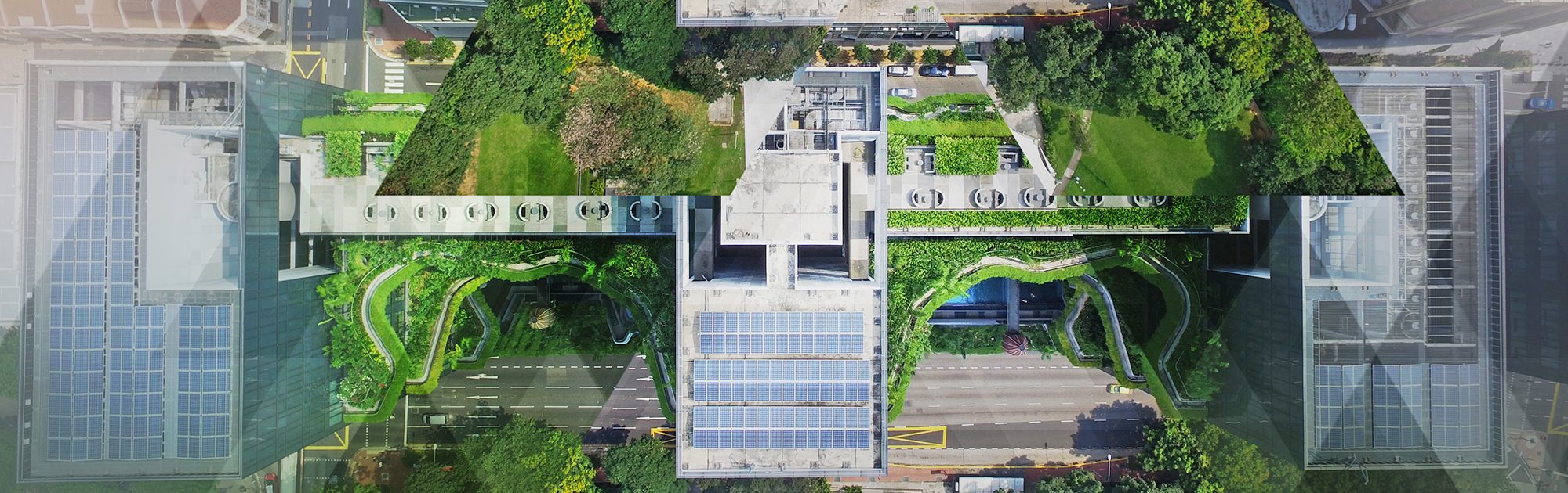 ccib iit green building masthead