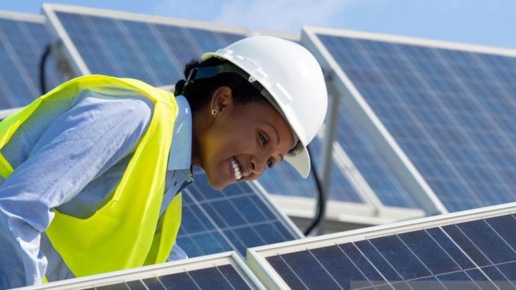 A person in a solar panel field