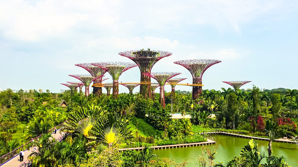 Picture of Supertrees at the Gardens by Bay in Singapore