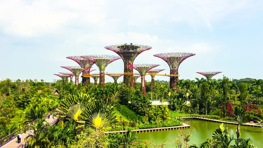 Picture of Supertrees at the Gardens by Bay in Singapore