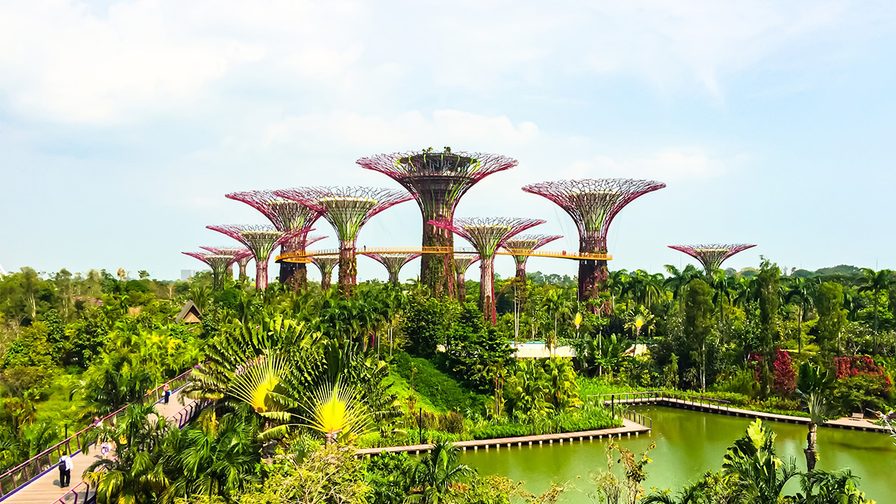 Picture of Supertrees at the Gardens by Bay in Singapore