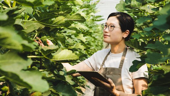 futuremakers-lady-gardening
