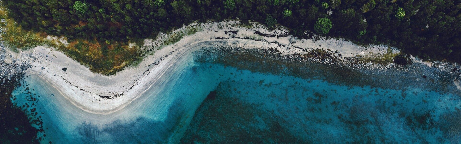 turquoise water and forest