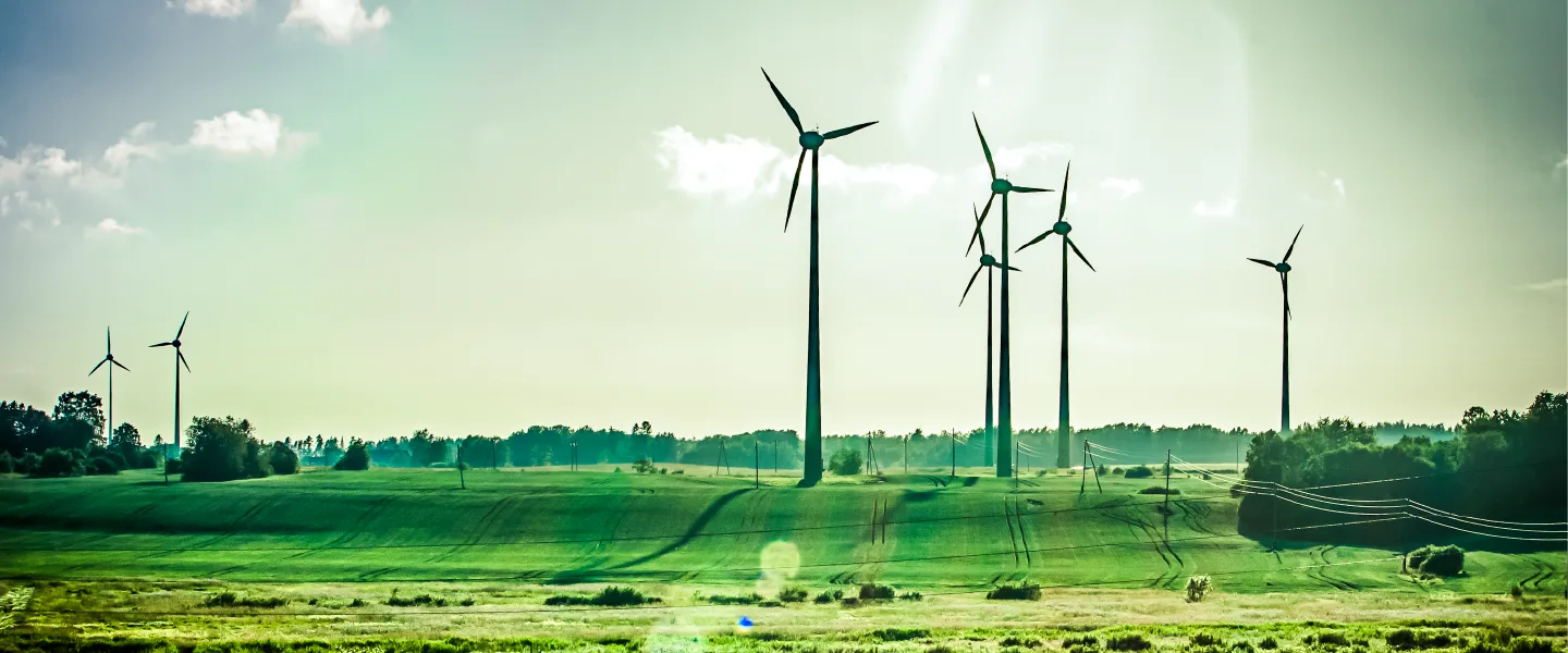 Wind farm