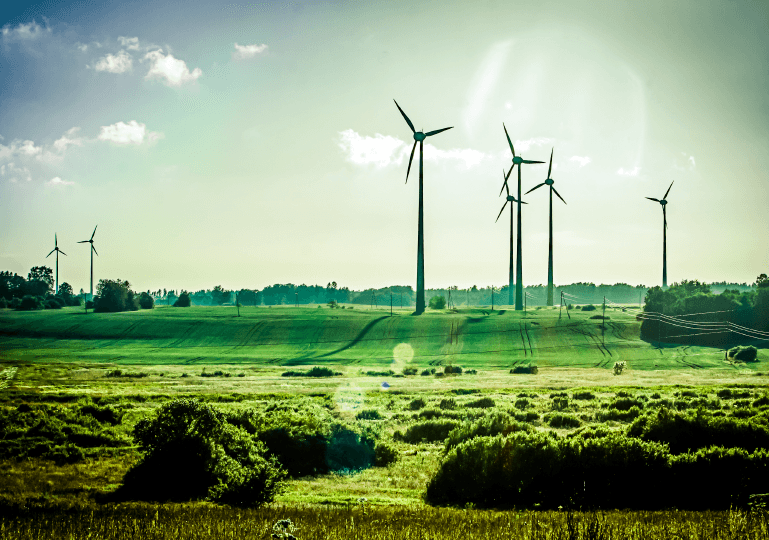 wind farm