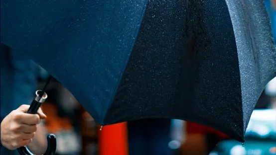 umbrella
