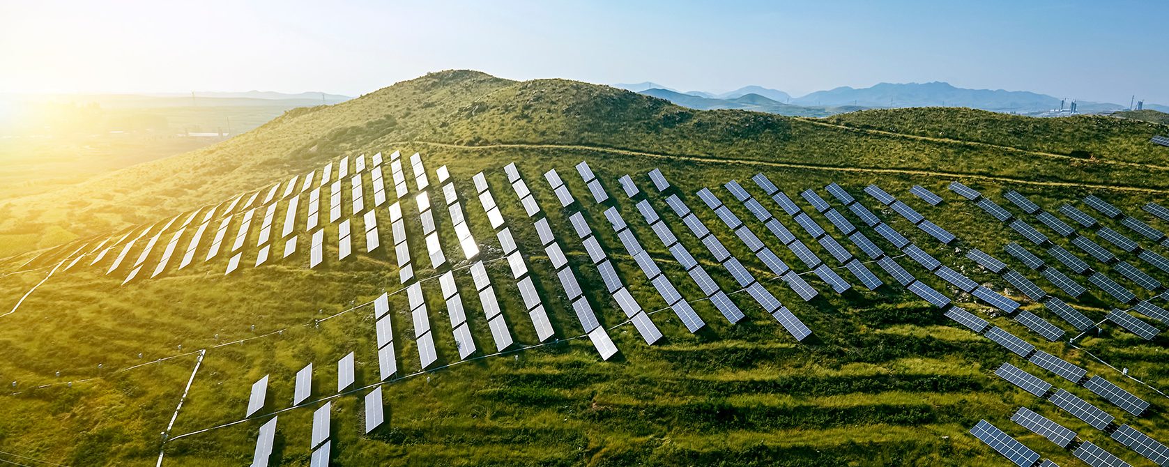 A field with solar panels