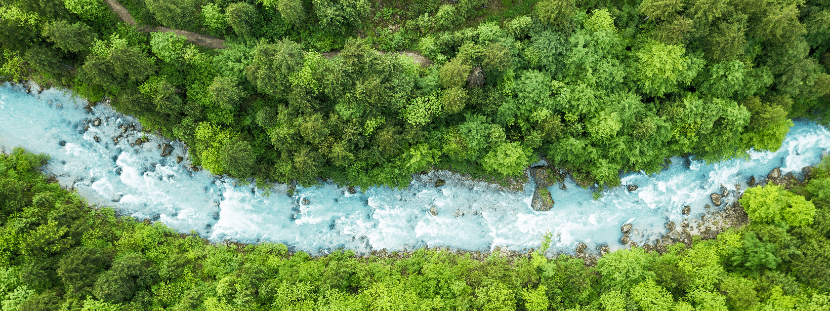birds eye view of river in a forest