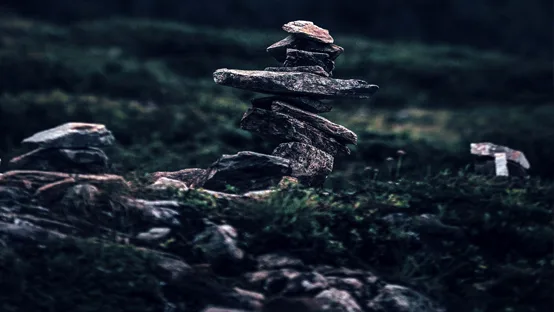 rocks