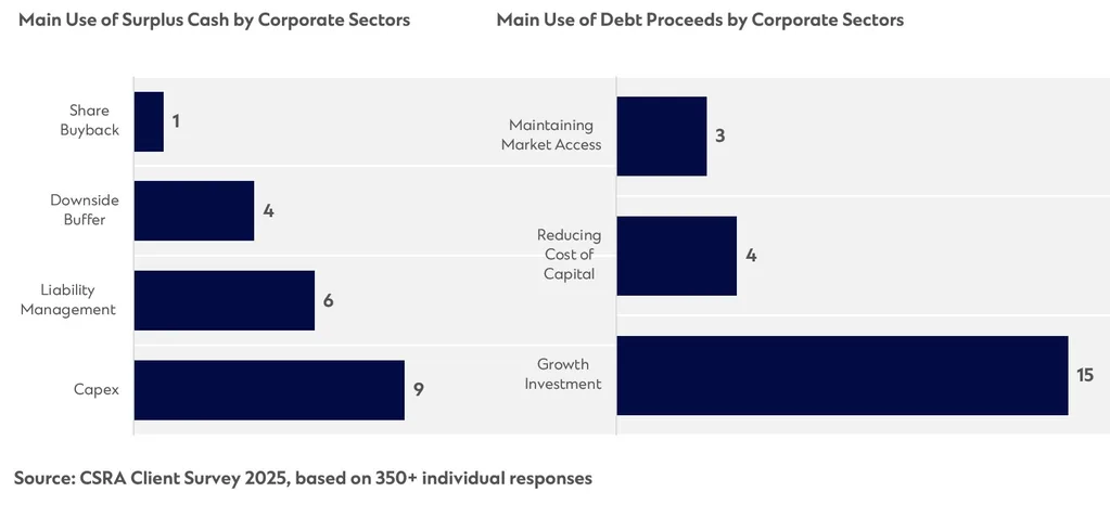 graph showing comparison of surplus cash and debt proceeds