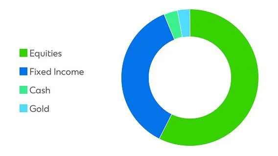Signature CIO Balanced Fund pie-chart