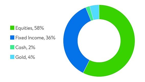 Signature CIO Balanced Fund pie chart