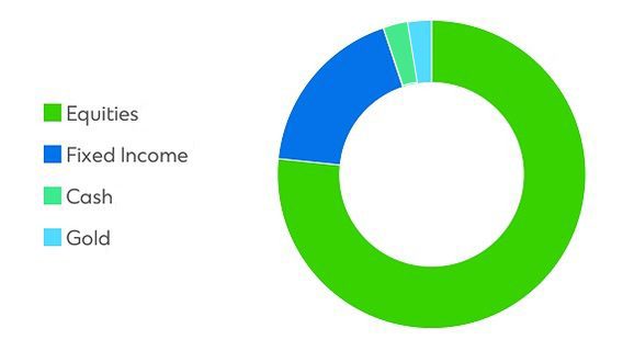 Signature CIO Growth Fund pie-chart