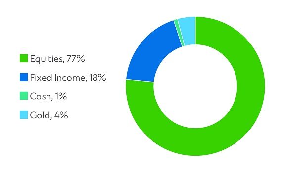 Signature CIO Growth Fund pie chart