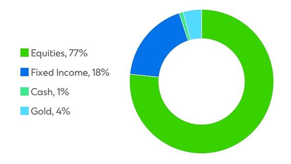 Signature CIO Growth Fund pie chart