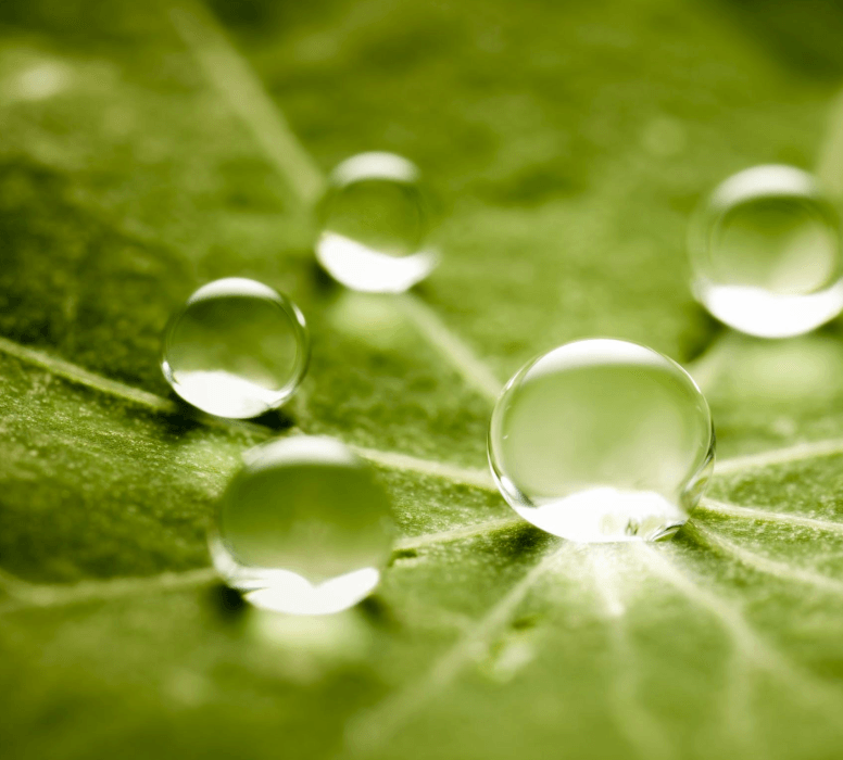 sus trade finance sustainability partnerships