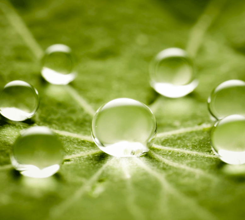 sus trade finance sustainability partnerships