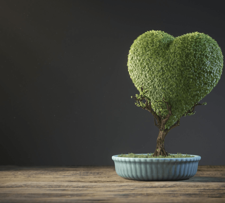 sus trade finance sustainability recognition