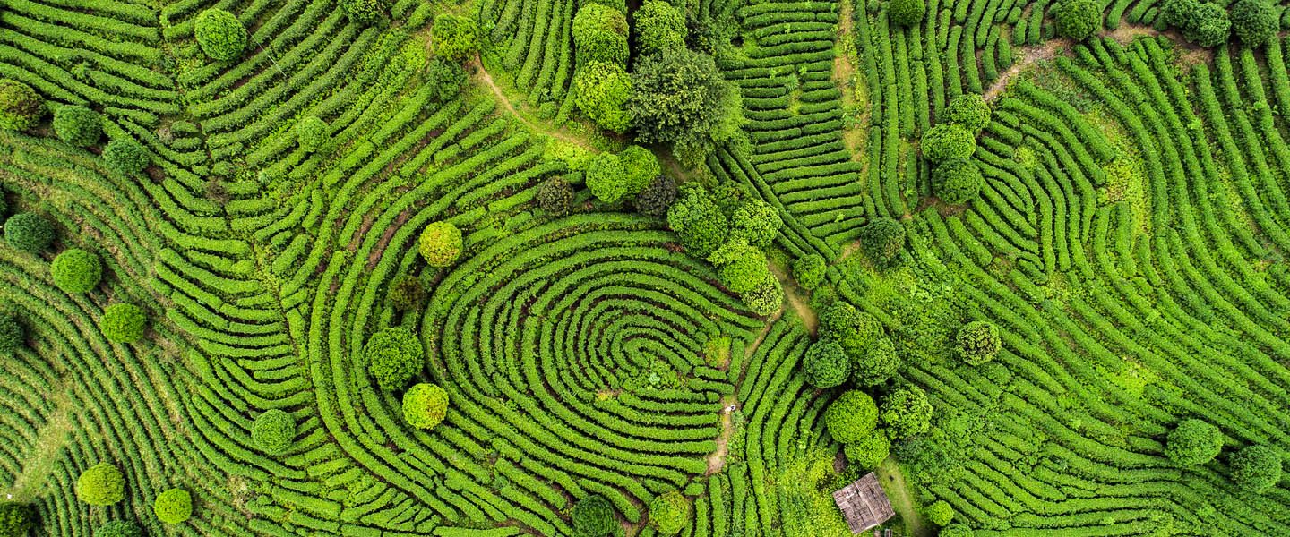 Standard Chartered: sustainability and society after COVID-19