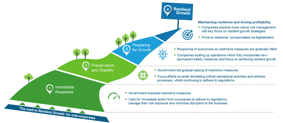 The road to resilient growth figure