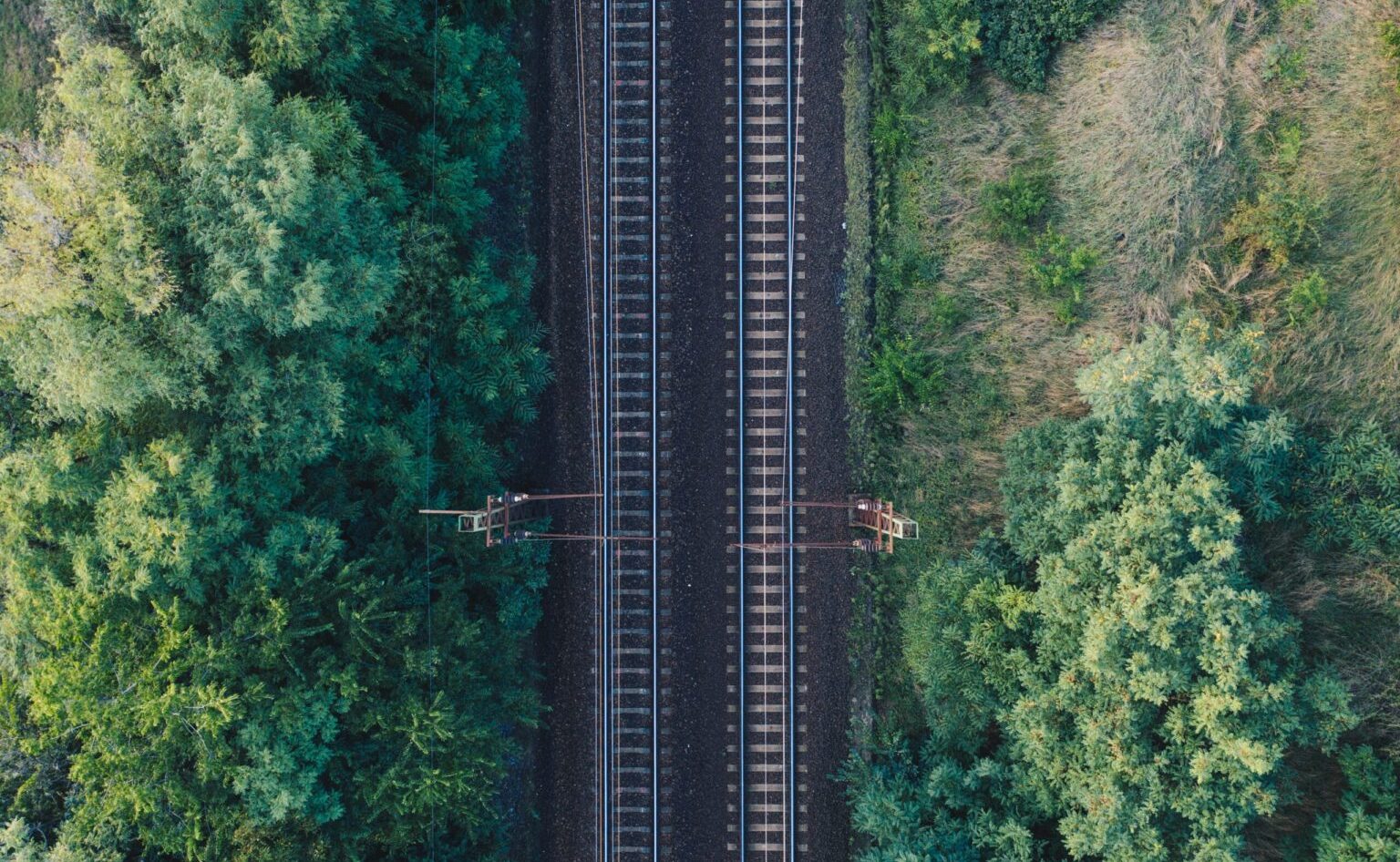 Two railway tracks through the forest.