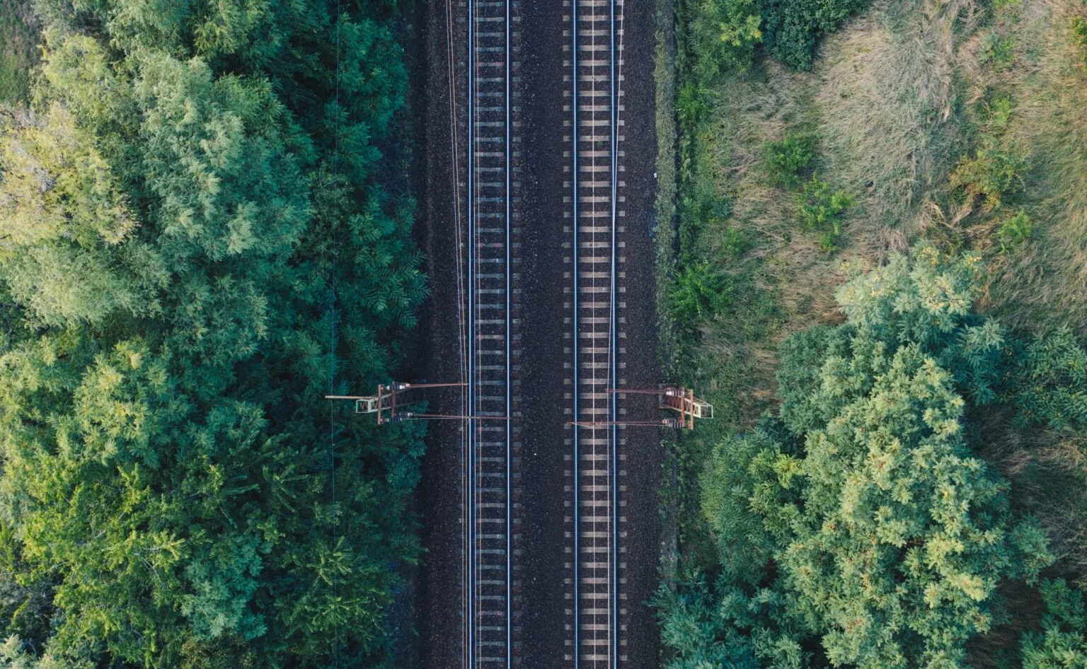 Two railway tracks through the forest.