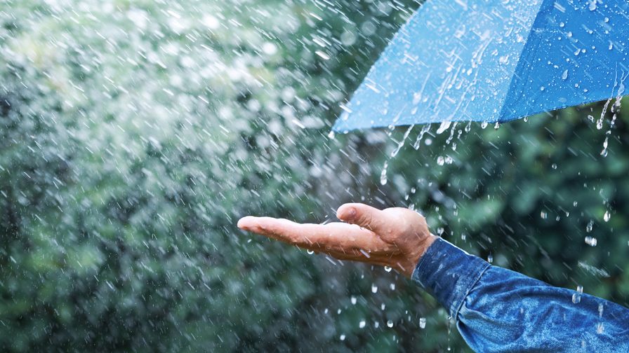 Wealth Insights: Bullet-proof your portfolio against volatility
