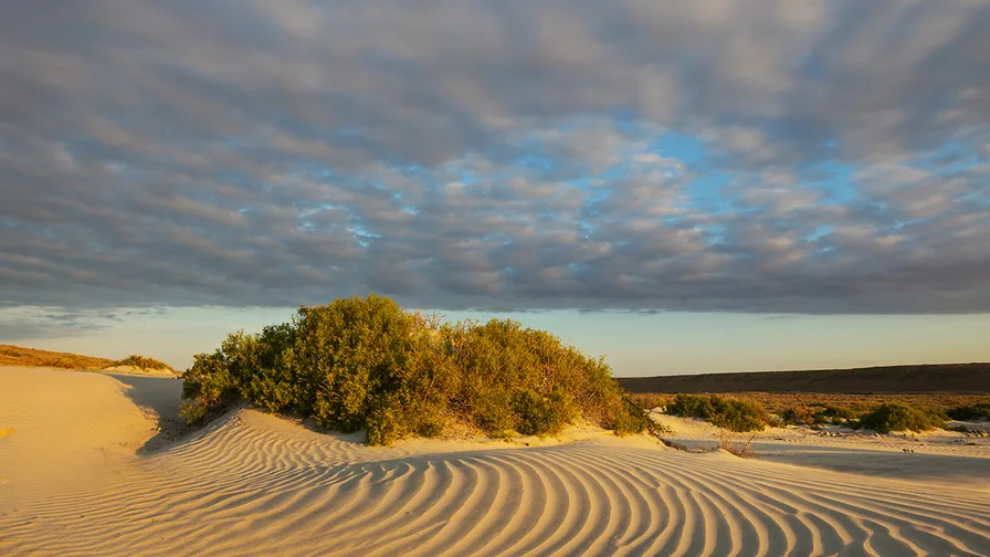 Wealth Insights: Defensive diversification – a bulwark against shifting sands
