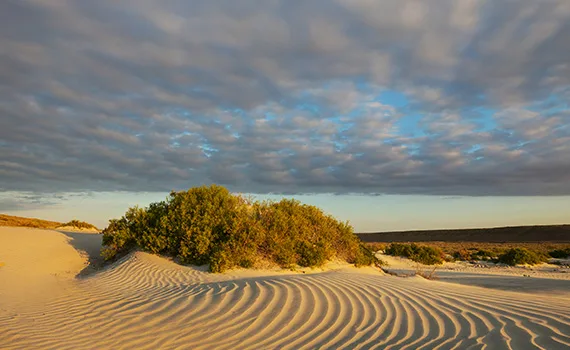 Wealth Insights: Defensive diversification – a bulwark against shifting sands