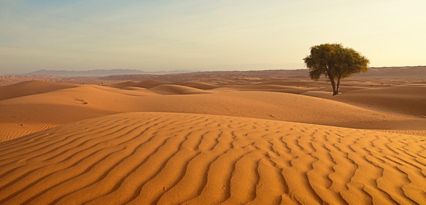 desert
