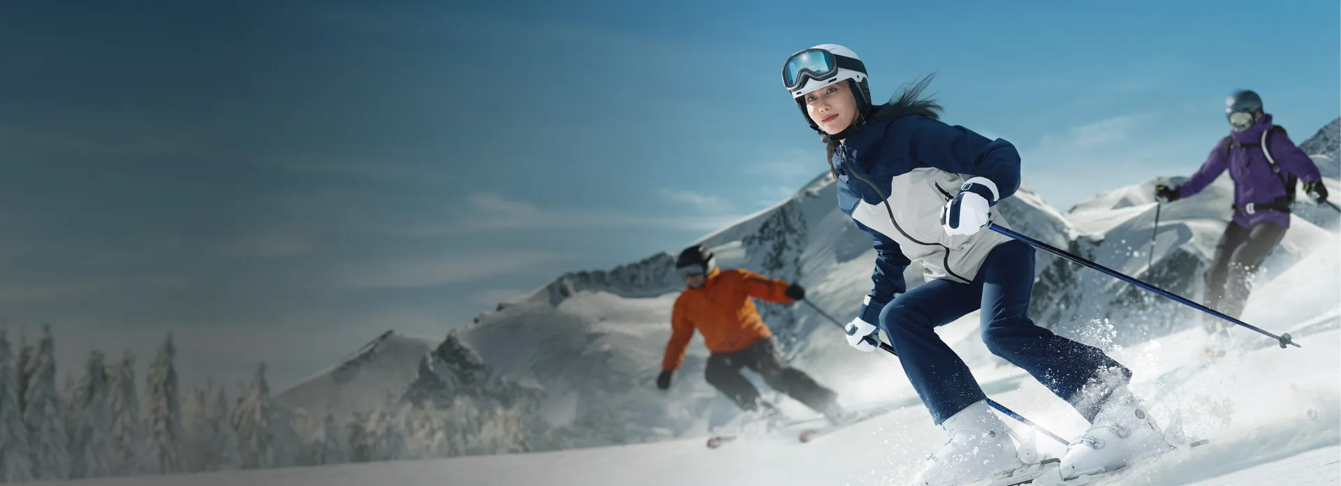 Wealth Expertise - Skiing