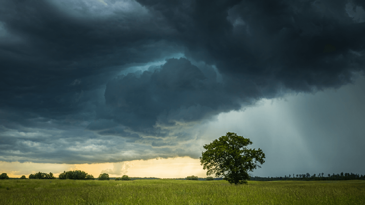 Private credit – weathering a perfect storm? | Standard Chartered