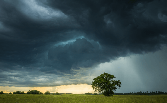 Wealth Insights: Private credit – weathering a perfect storm?