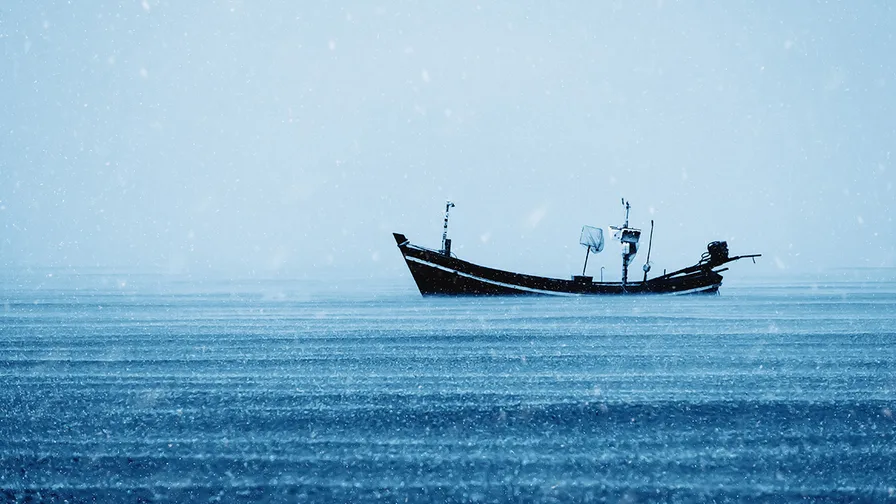 Wealth Insights: Stability in chaos – The ‘barbell strategy’ guide
