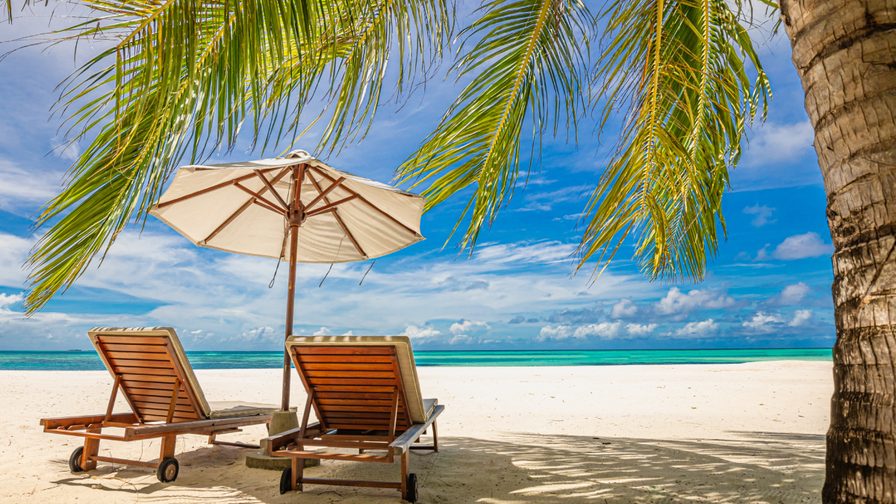 Wealth Insights: The benefits of being on vacation