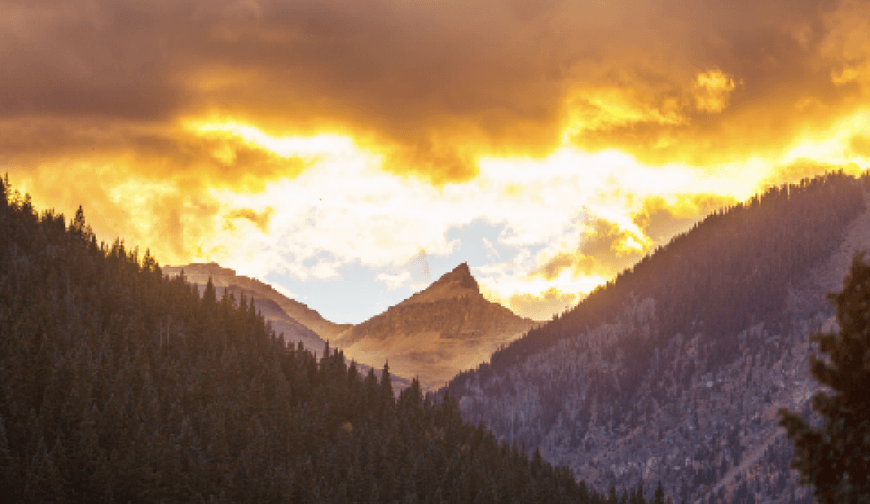 The Golden Anchor: Why recent volatility is an entry signal