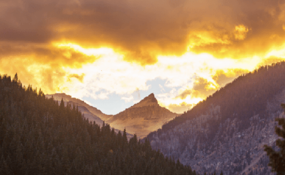 The Golden Anchor: Why recent volatility is an entry signal