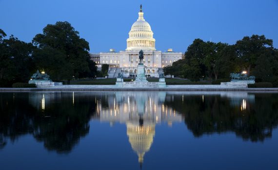 Wealth Insights: The US Dollar – the view after the fall