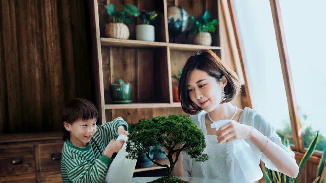 SC Wealth Select: Grow and protect your wealth