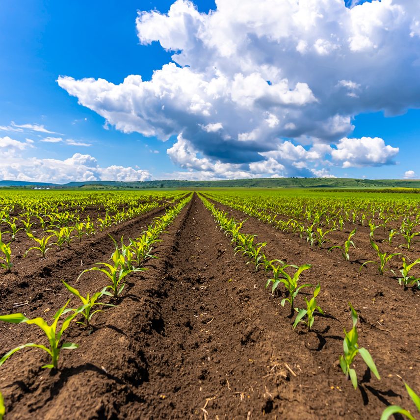 wide-plains-of-agriculture