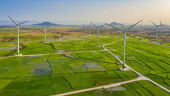 windmil